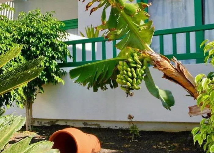 Neptuno - Adults Only * コスタ・テギセ