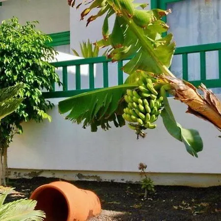 Neptuno - Adults Only * Коста-Тегисе